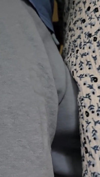 她在火车上不小心摸了陌生人的鸡巴。他把他的阴茎滑到她的裙子下面并射精