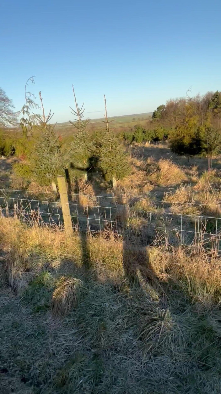 J3rm41n3: Caminhada nua. Roupas abandonados. -2 Celsius