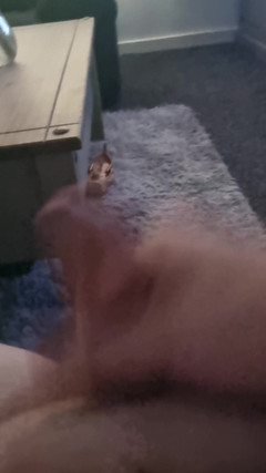 Big man: Schwanz wichsen