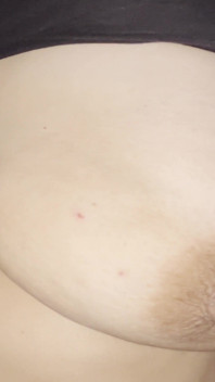 nippal asenbal 3