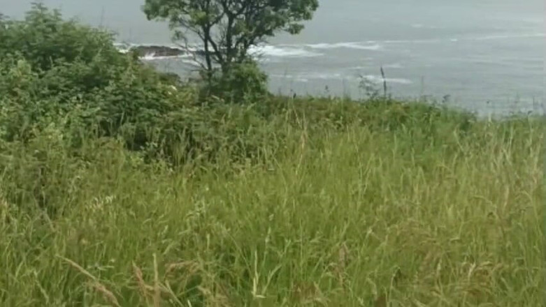 Amadeus studio: Robyn tanpa kondom saya dengan keras