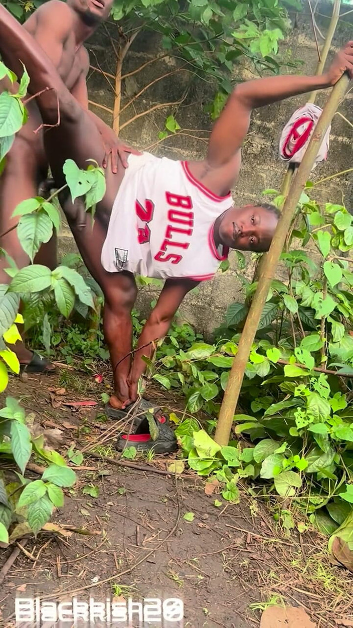 Blackkish20: Having Fun in the Presence of Nature
