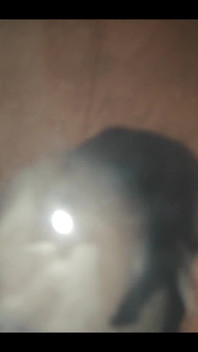 749771317682647040.mp4