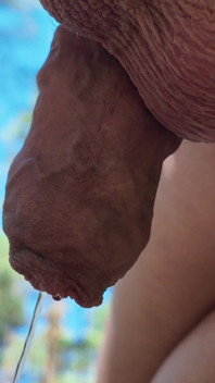 Exy Trans Pee at the Forest