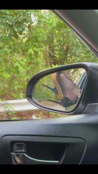 What Would You Like to Do in the Car with Me?