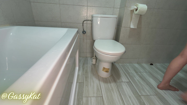 GassyKat: The Daily Toilet Episode 16