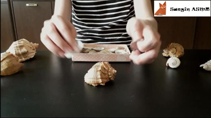 Saegin: 3[ASMR] Gnugga ihop och skrapa snäckskal (inget snack)