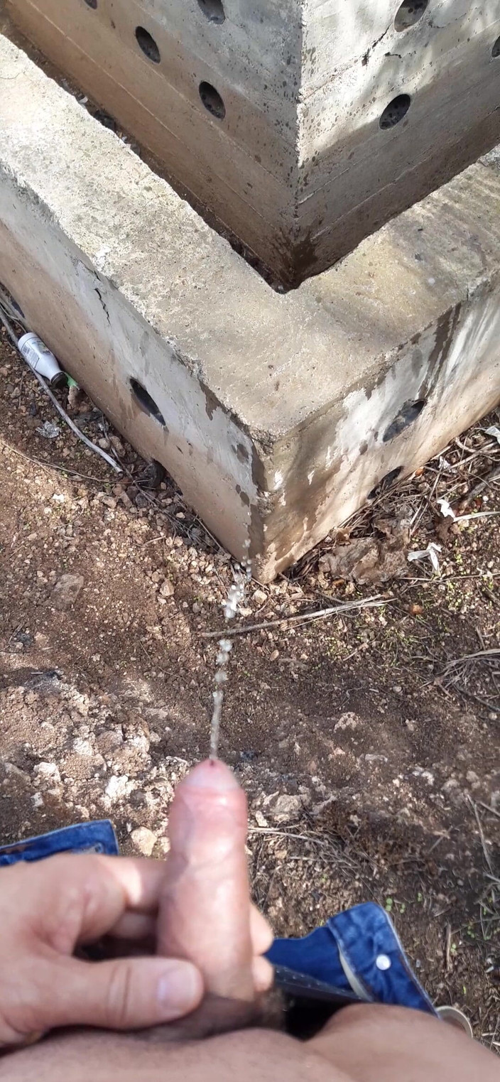 Orinadas_jmv54: उच्च और बड़ा पेशाब