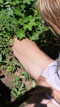 Pișându-se în grădina mea pentru a uda plantele