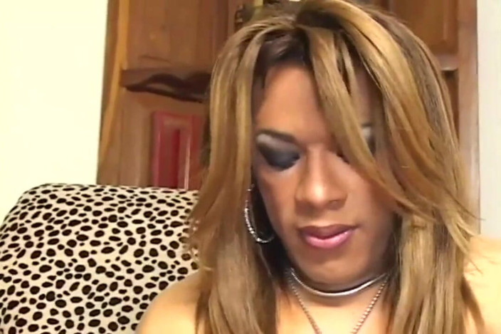She-Male X: My little transsexual...