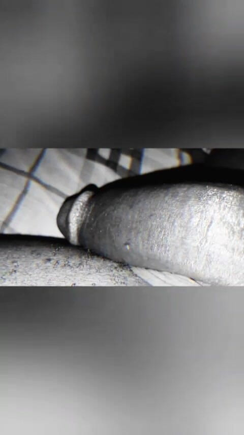 SolidmanGo: 大黑屌鸡巴挖掘者