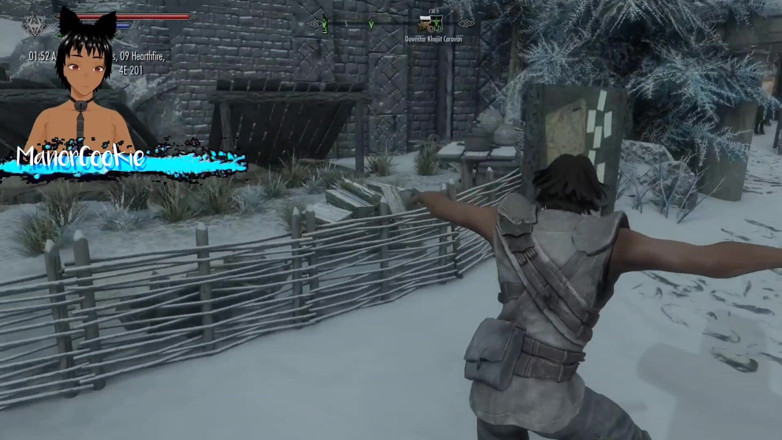 Manor Cookie: Skyrim b và l mod - đi du lịch trên đường và ở tại...