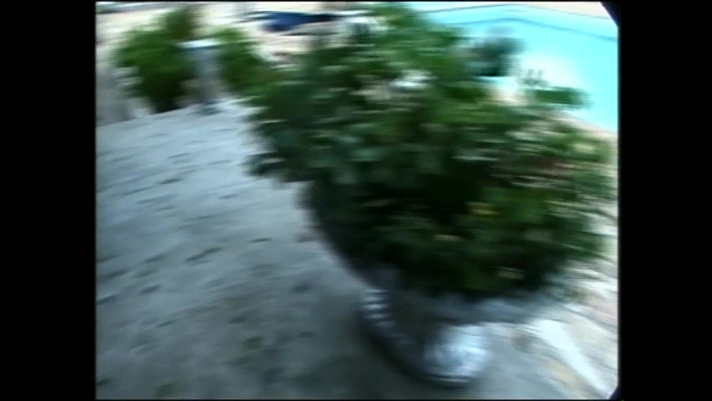 Shemale exstasy: Waria cantik dalam syarikat