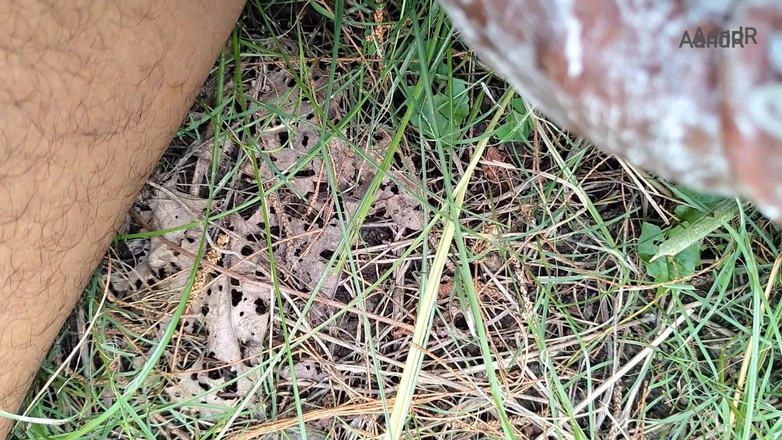 AnR: Masturbace pt2 uspokojující orgasmus indický chlapec masturbuje v džungli s šamponem