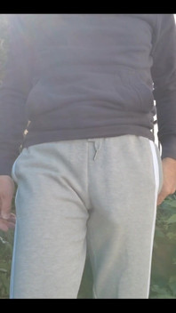 Bulge