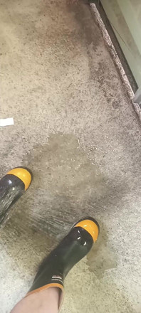 Pissing on Steel Toe Black Rubber Wellies