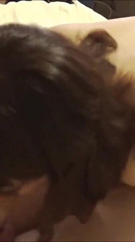 Sexslave का उसके मालिक द्वारा इस्तेमाल किया गया