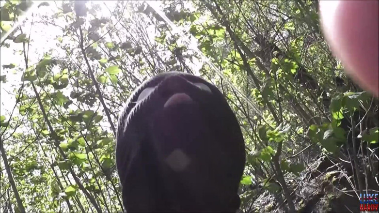 Luke Hardy XXX: Kitty's Secret Command-ho Tryout