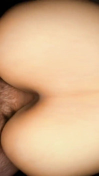 Una pecorina a tarda notte