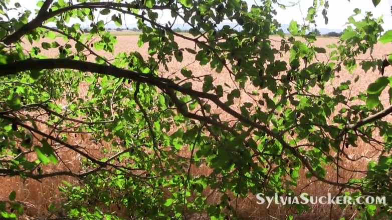 Sylvia Chrystall: Üvey anne ve üvey oğul ilişkisi 42 (üvey anne her zaman istediğimi alıyorum)