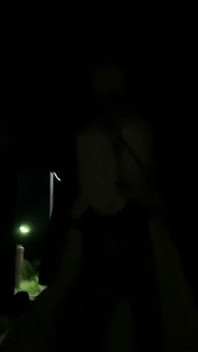 No333 夜間のハッテン場一人散歩