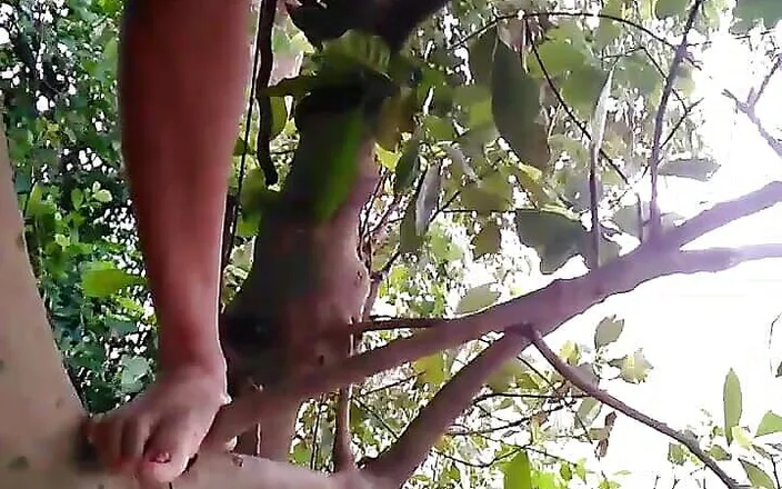 my house: I Like to Pissing in the Tree and Bengali Dirty...