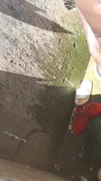 Bắn tinh mạnh khiến tôi phát điên lên