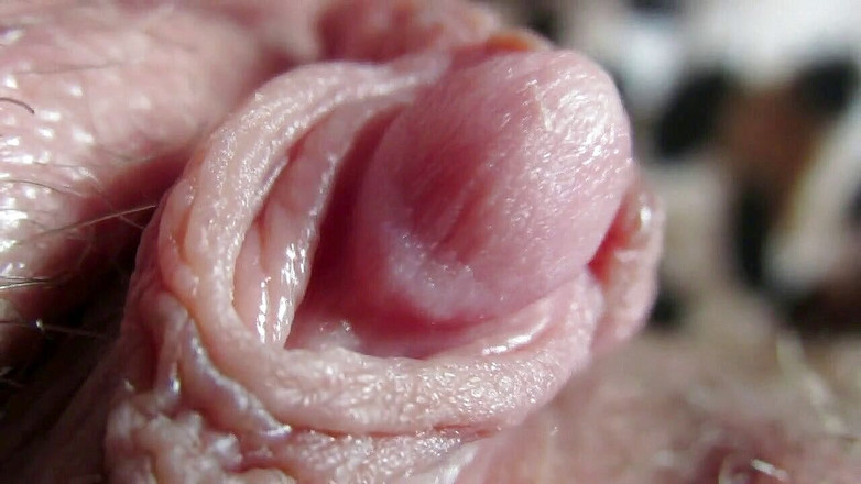 Cuteblonde666: Große kitzler-zusammenstellung 2