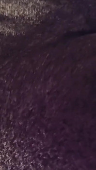 Mmm 20 Fart Videos for All You Stinky Gas Lovers, Come Smell My Stinky Ass