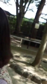 เอเชียนแองเจิล 24514