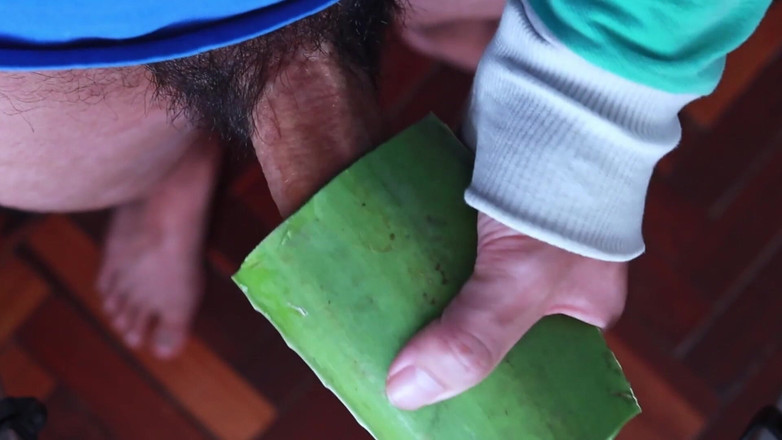 MGEc21: アロエベラをフレッシュライトとして使う