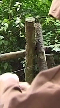 Zrzka MILF svázaná a použitá v perverzních scénách