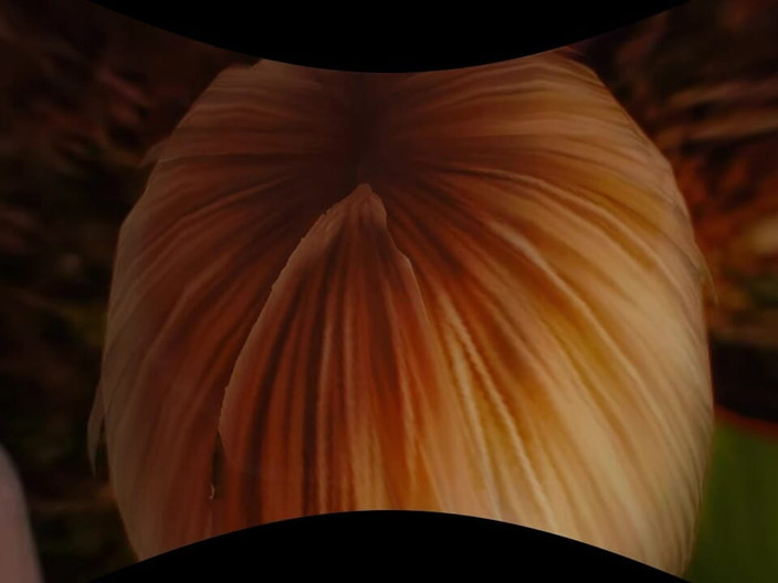 Futanari VR: Éditions Funy 36