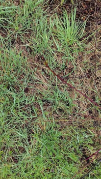 Outdoor-pisse im regen