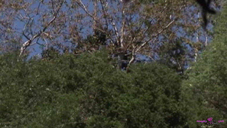 Naughty Black Girls: Сексуальная брюнетка трогает ее киску у бассейна и получает анальный трах с большим черным членом