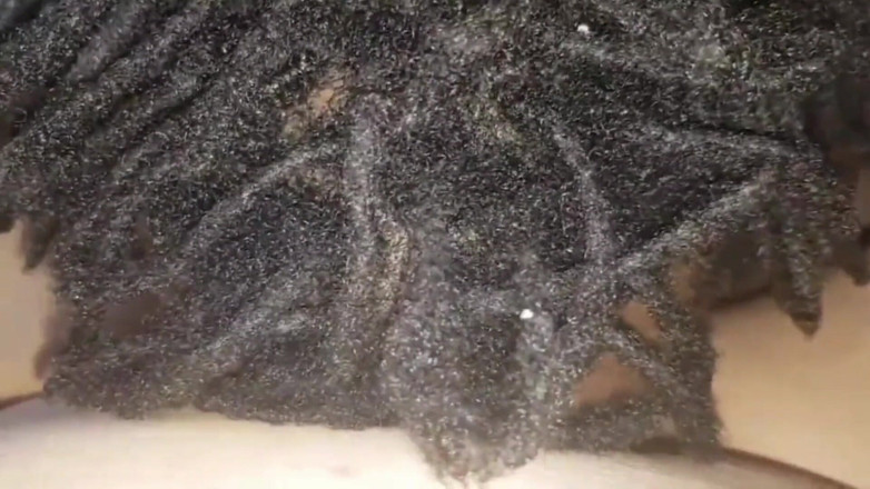 Real homemade BBW BBC porn: WildEnglishBBW BBC Nata4sex ssanie moich sutków lizanie mojej cipki POV