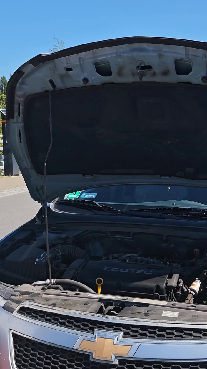 Bastet: Meu carro quebrou. um estranho fixou em troca de um...