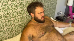 ScruffyStocky: Francouzský zrzavý medvídě je v prdeli bez sedla ze Scruffystocky