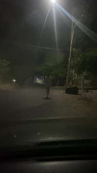 Emmanataly Public Shemale