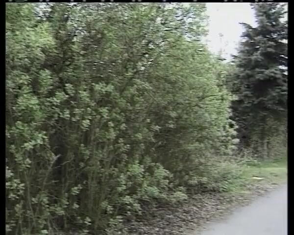 Deutsche Madchen: Teen From Germany Pounded by Older Dude in Her Tight...