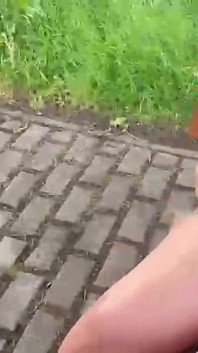 So Risky! Public Auf Dem Rastplatz