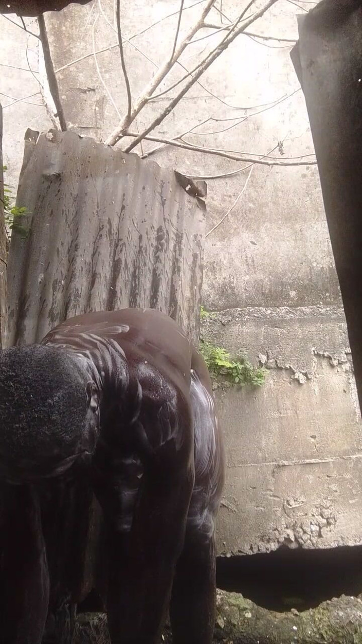 solomonnaija: Ich berühre meinen schwanz