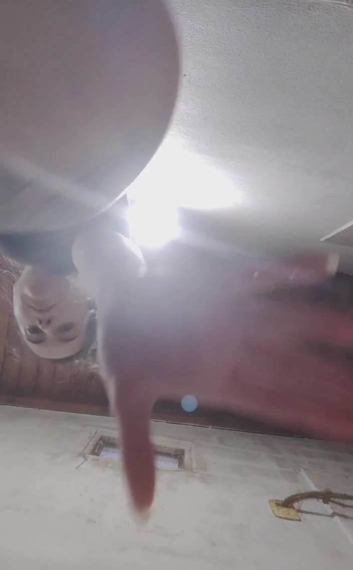 RavenHearth666VIP: कमसिन बालों वाली चूत दिखा रही है