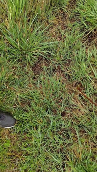 Nur ein bisschen pissen, sperma-mix genießen