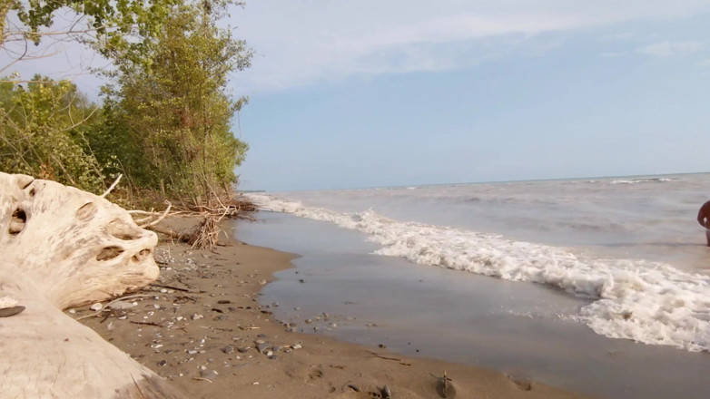 Skin and earth: Chubby Bear, Torn Wet Briefs, Nude Beach Jerkoff (skinandearth)
