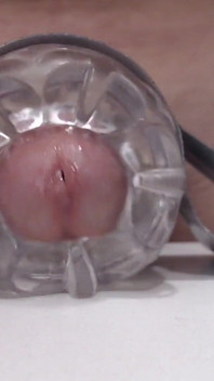 Dick Cums Closeup
