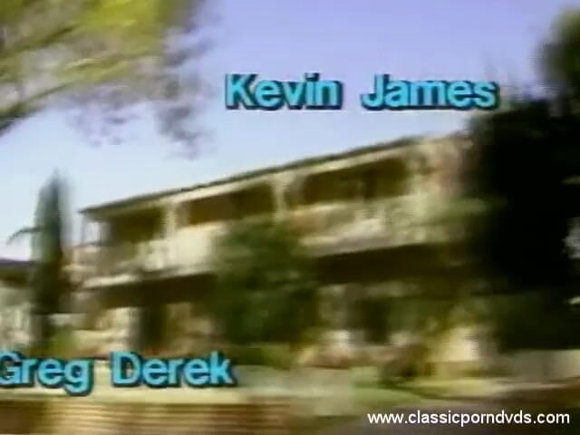 Classic Porn DVDs: Classic Porn Dvds: the Pleasure Spot: Part 1