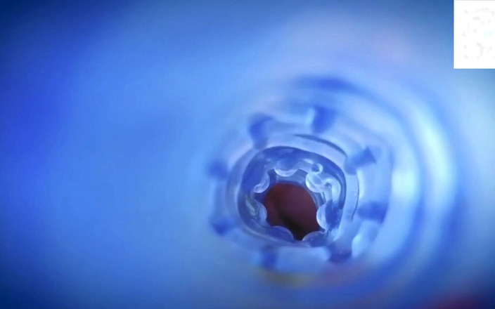 Kimberly Polizzi: Trực tiếp từ 15/10/2025 Kim