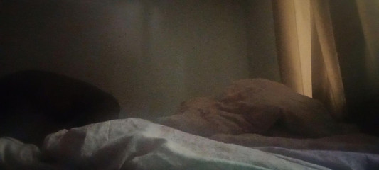 Andrew Adams: Plácám si zadek na postel z ložnice