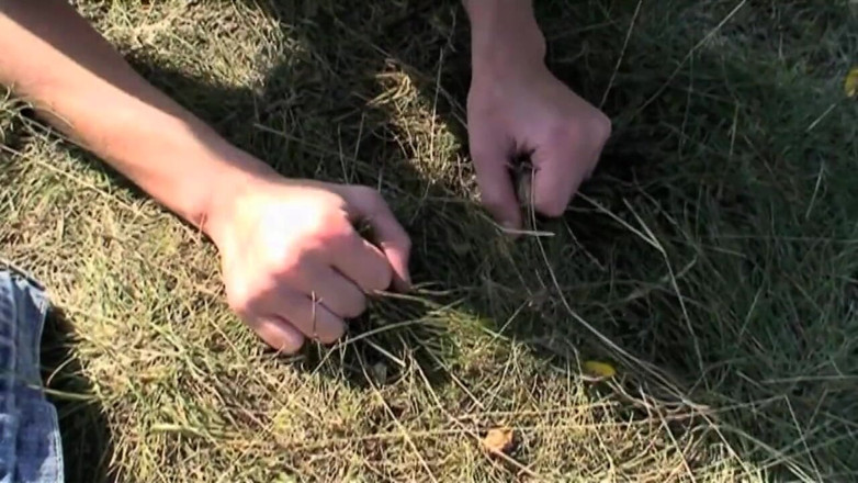 Old PIGS XXX: Innocent sweet teen slammed by an old hunter in the...